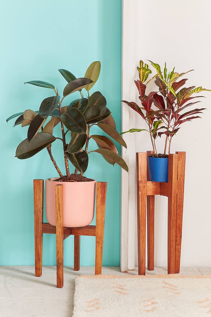 Knock Down Plant Stand