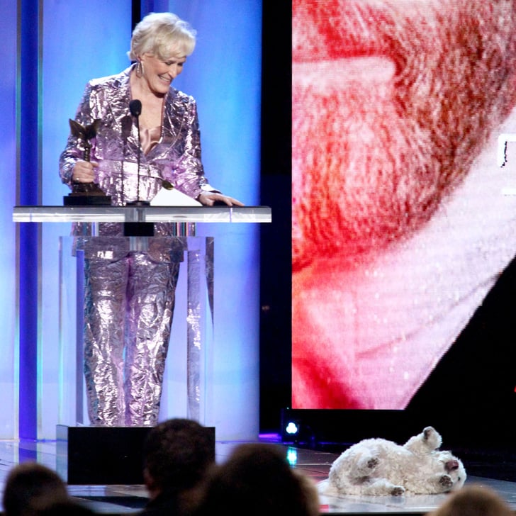 Pictured: Glenn Close and her dog, Pip
