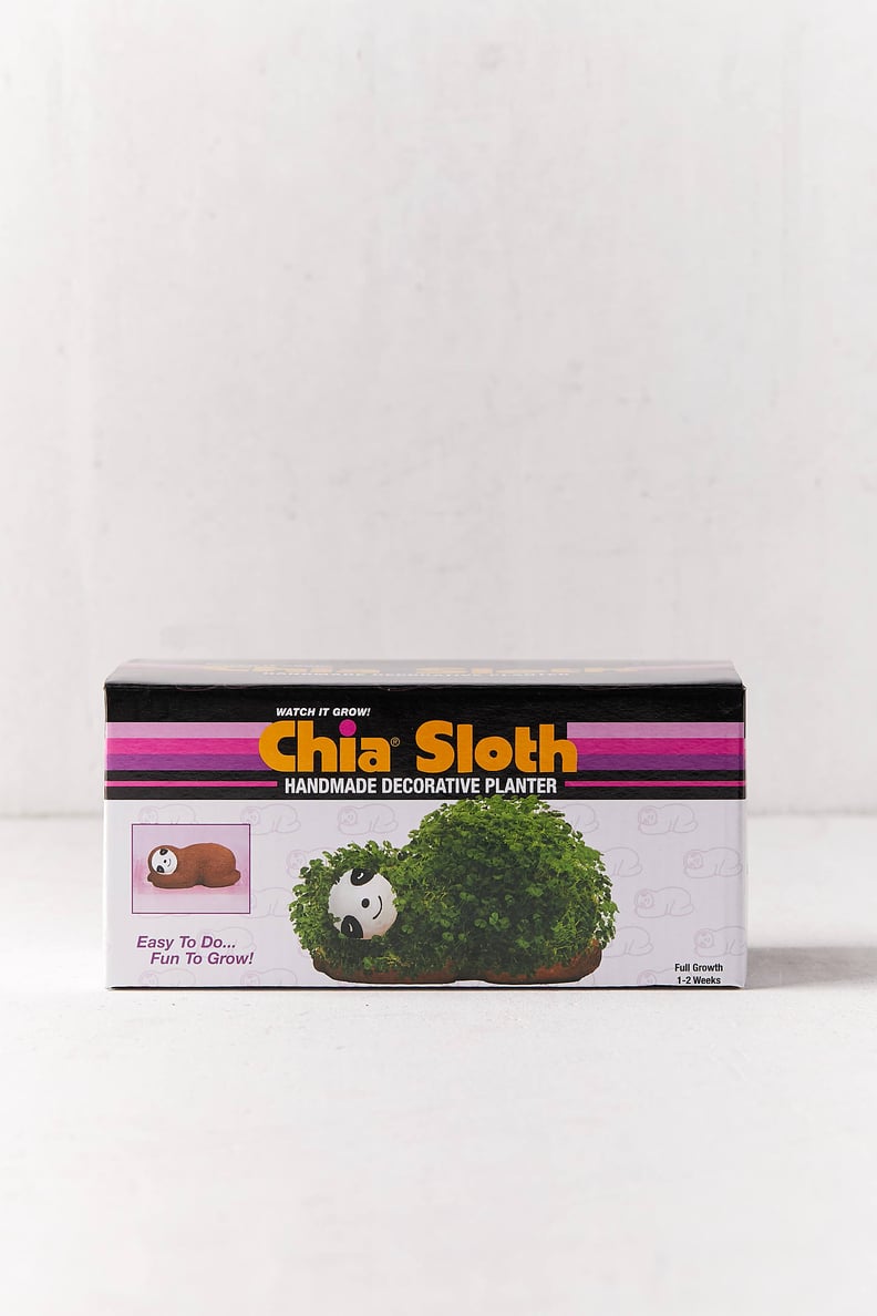 Sloth Chia Pet