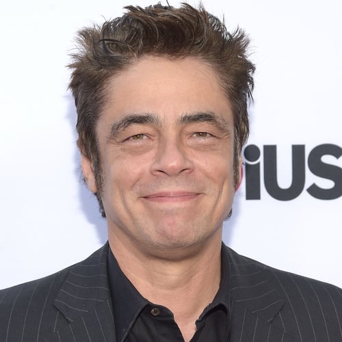 Benicio Del Toro