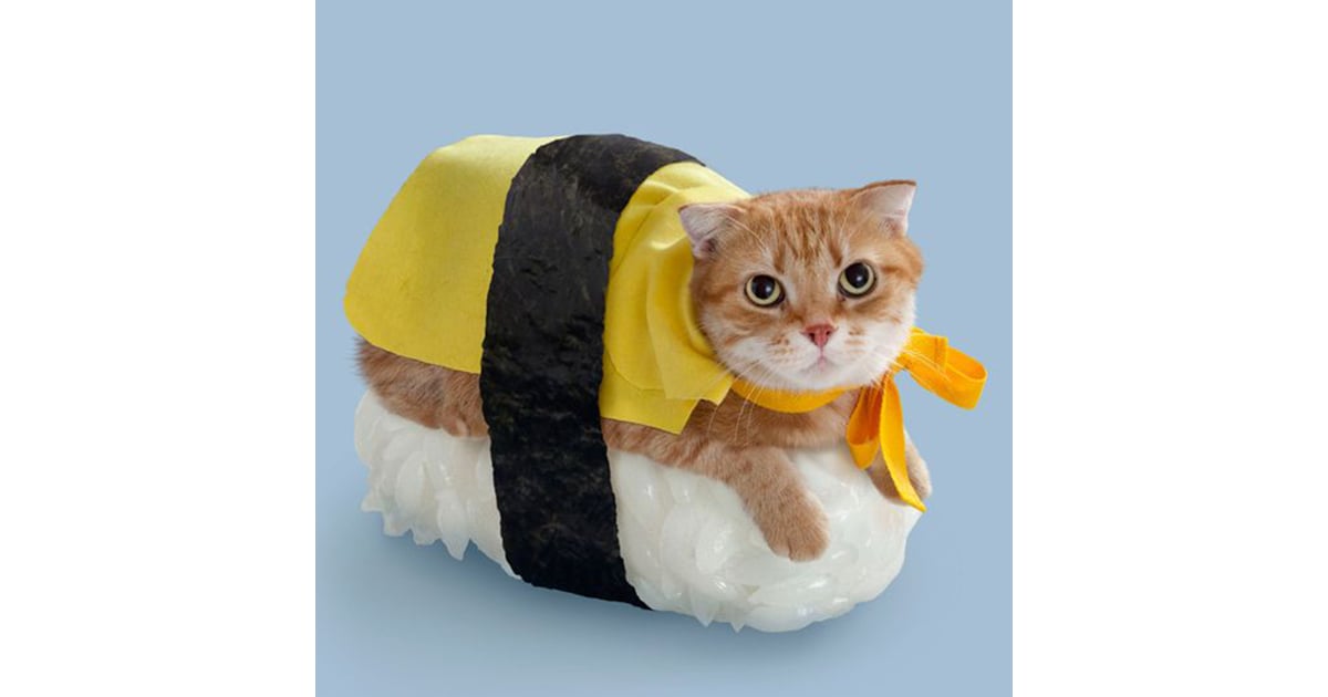 halloween costumes for cats