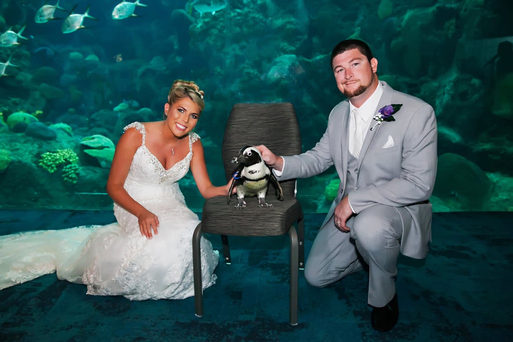 Aquarium Wedding