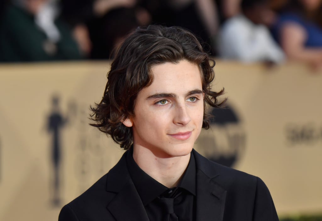 Timothee Chalamet at the 2018 SAG Awards