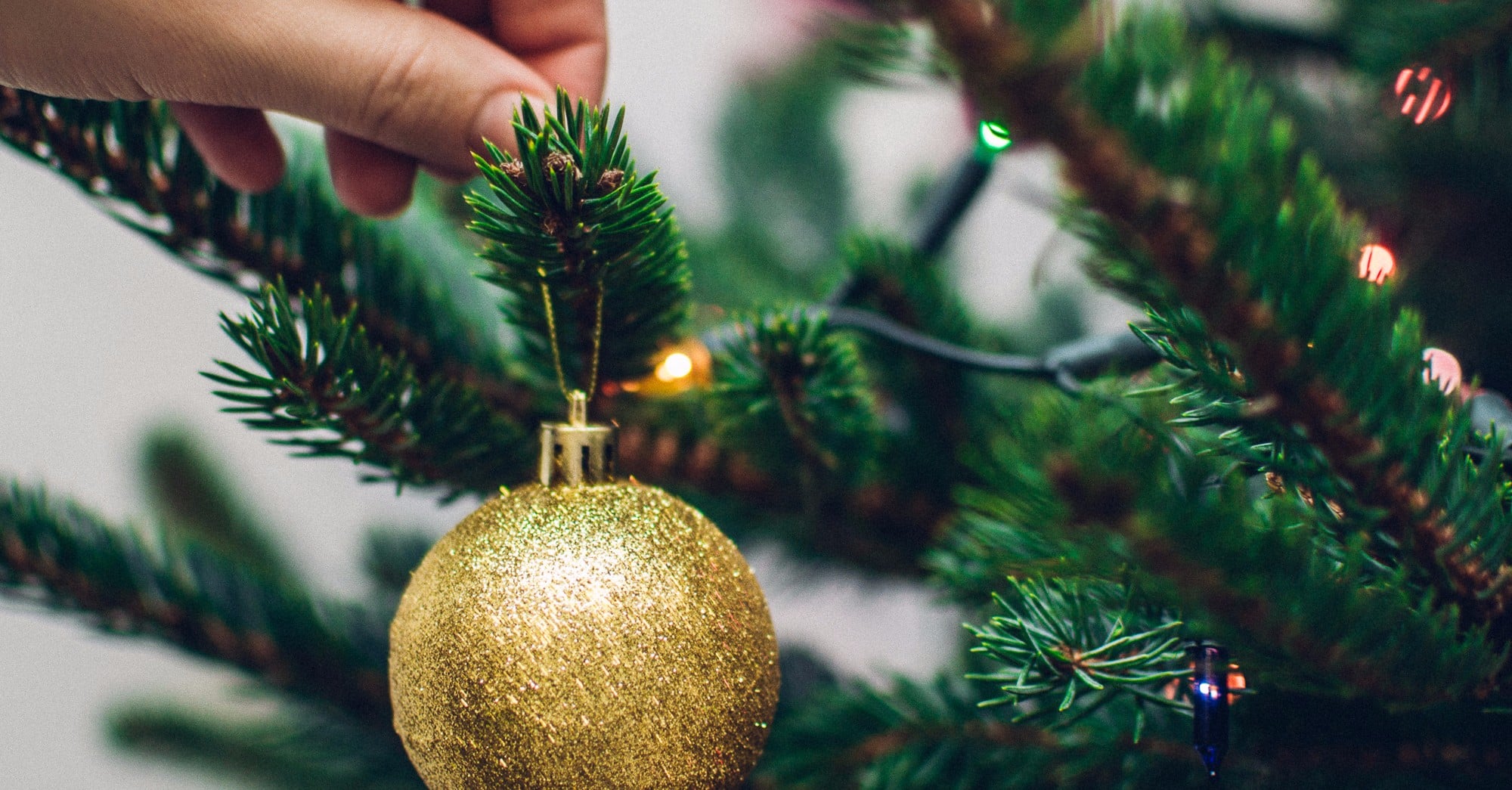 How to Keep a Christmas Tree Alive POPSUGAR Home