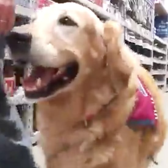 Lowe's Hires Man and Service Dog