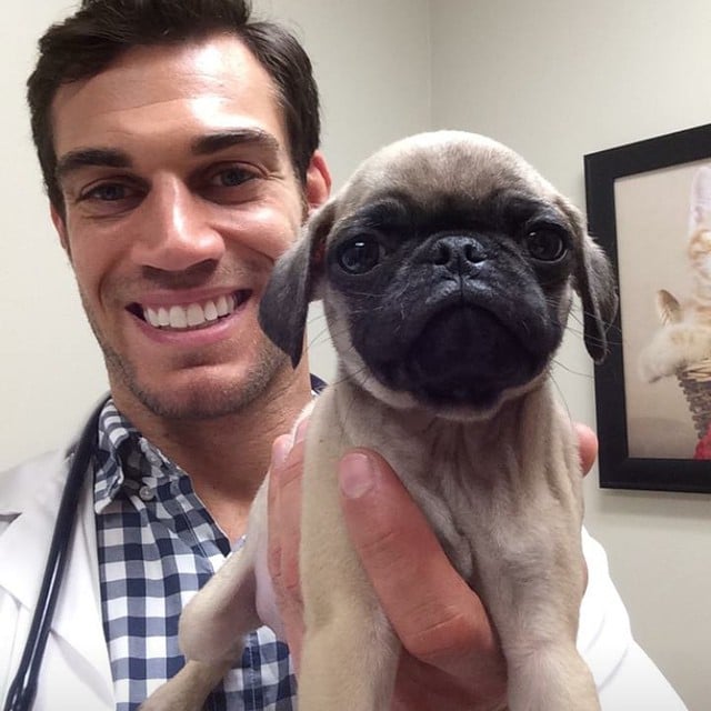 Chilling with an adorable pug.