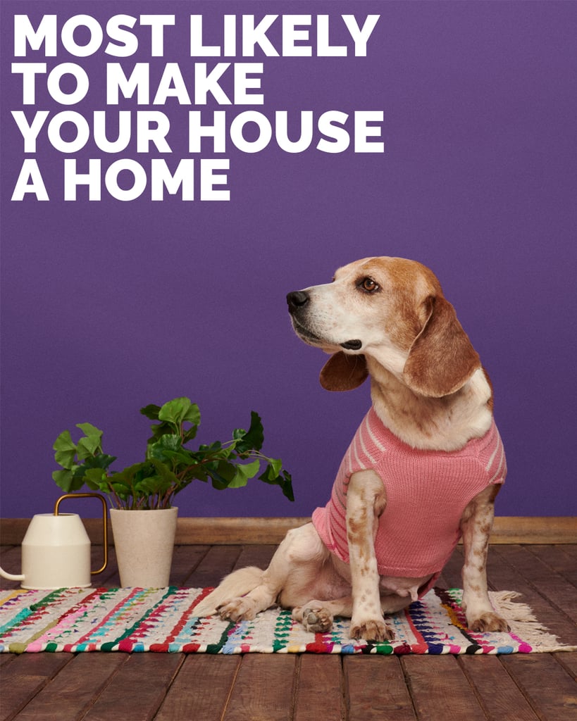 Brooklyn, Most Likely to Make Your House a Home
