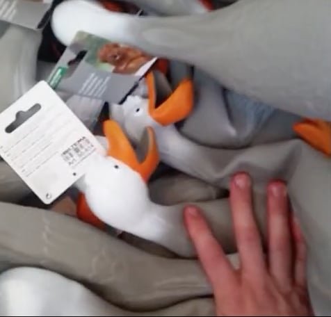 Funny Duck Army Vine