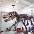 Free Admission to Over 1,500 Museums, Aquariums, and Zoos