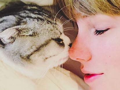Pictures of Taylor Swift With Her Cats | POPSUGAR Celebrity