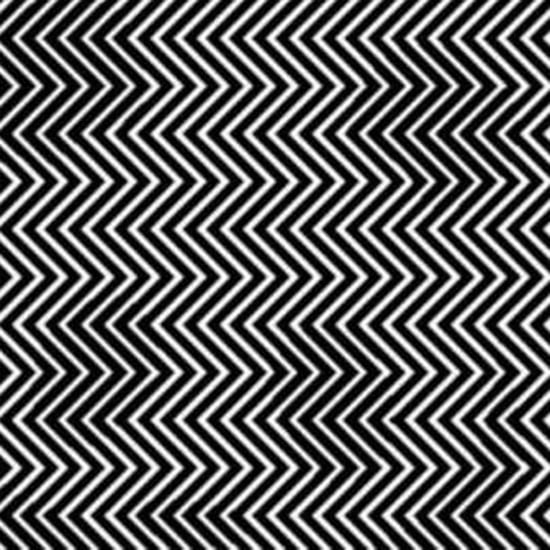 What Animal Do You See? Quiz