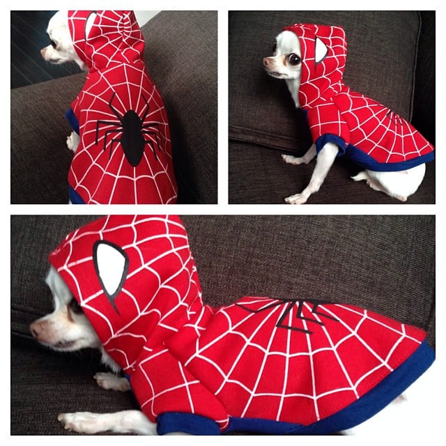 Spiderman