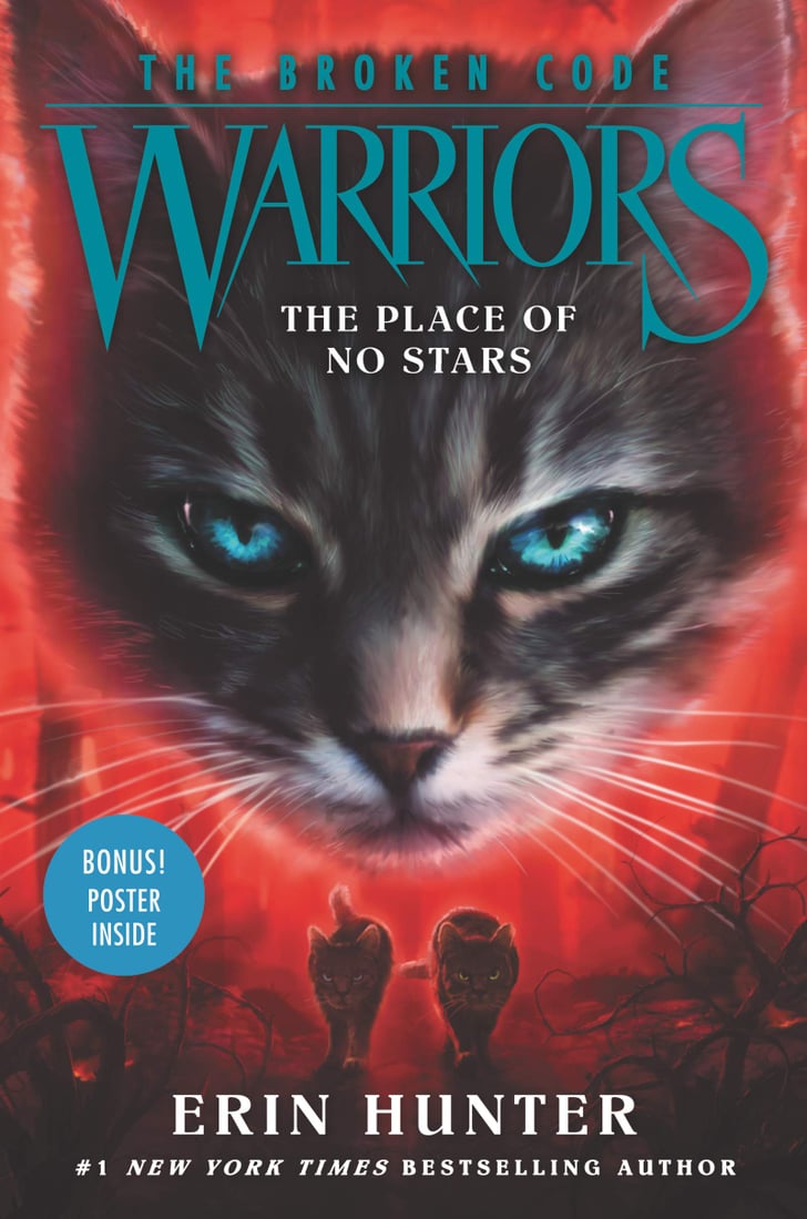 Warriors: The Broken Code #5: The Place of No Stars | New Kids' Books ...
