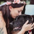 Senior Dog Joins His Human's Wedding Before Passing Away a Few Days Later