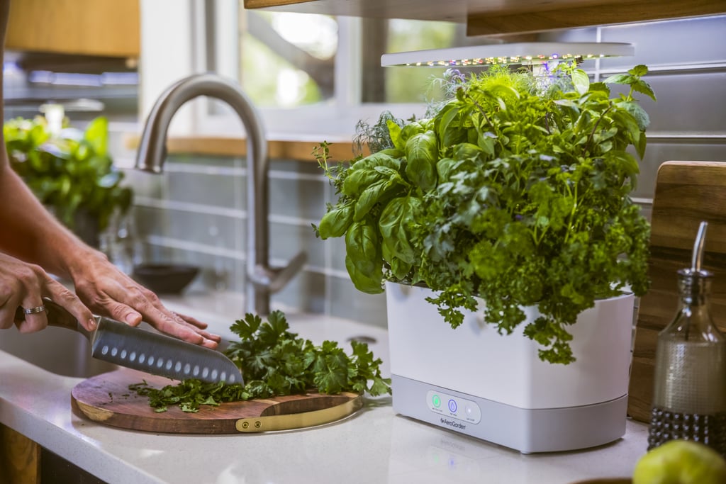 Indoor Smart Garden