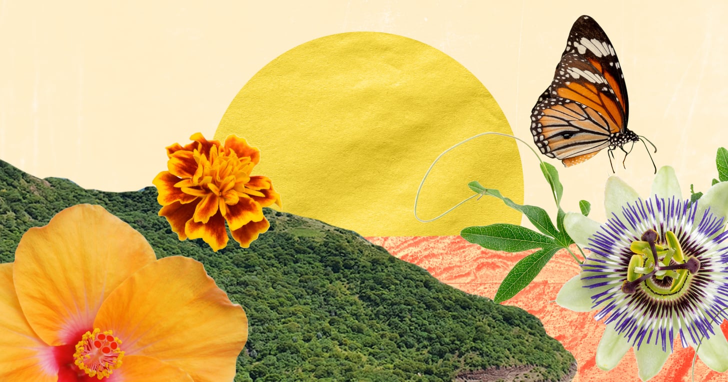 Introducing De La Editora, the Latine Newsletter That Brings Our Community Together