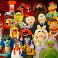 Muppets Now Is Finally on Disney+! See the First Trailer and Learn More Before Watching