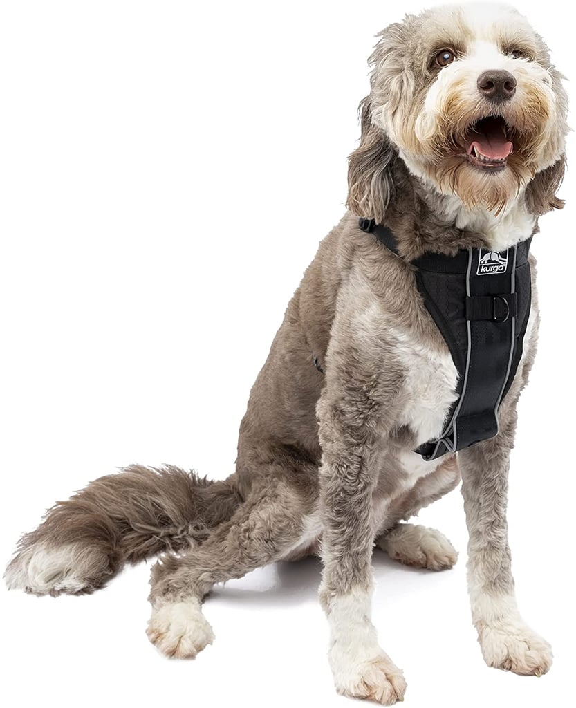 Best Dog Harness Overall: Kurgo Dog Harness