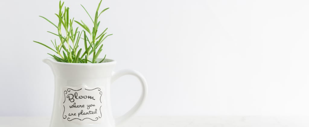 6 Plants That Can Help Lower Your Stress Levels