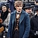 What Is Fantastic Beasts and Where to Find Them 2 About?