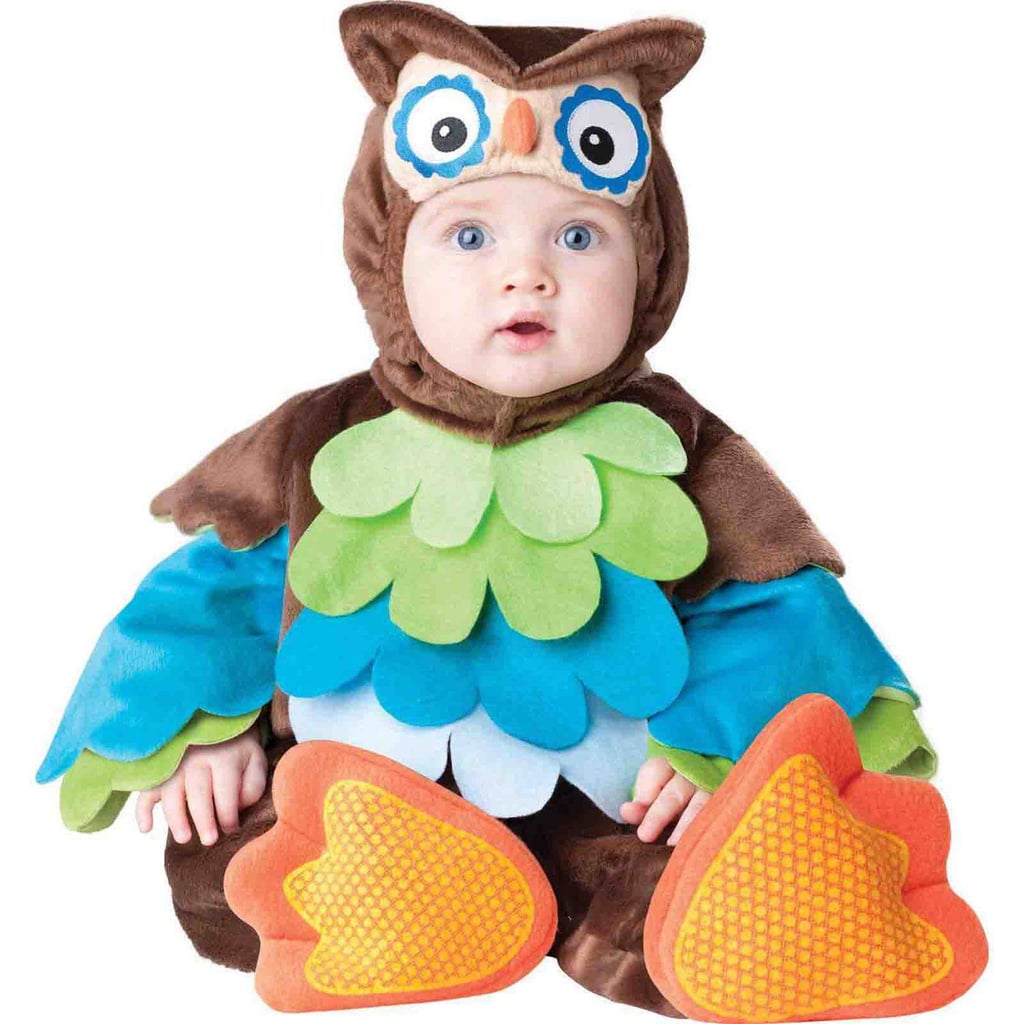What a Hoot Owl