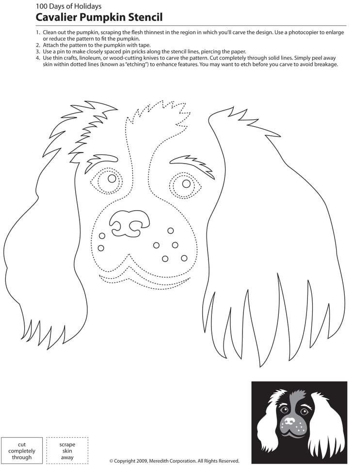 Downloadable Dog Breed Pumpkin Stencils POPSUGAR Pets Photo 17