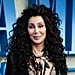 Cher’s Platinum-Blond Hair Color: See Photos