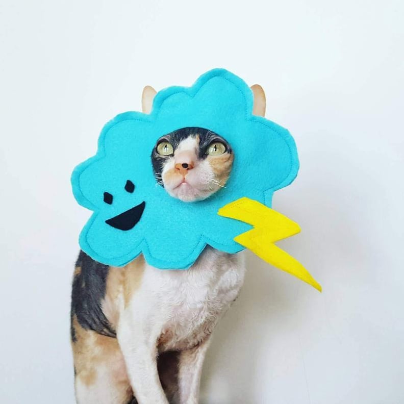 Thunderstorm Cloud Pet Costume