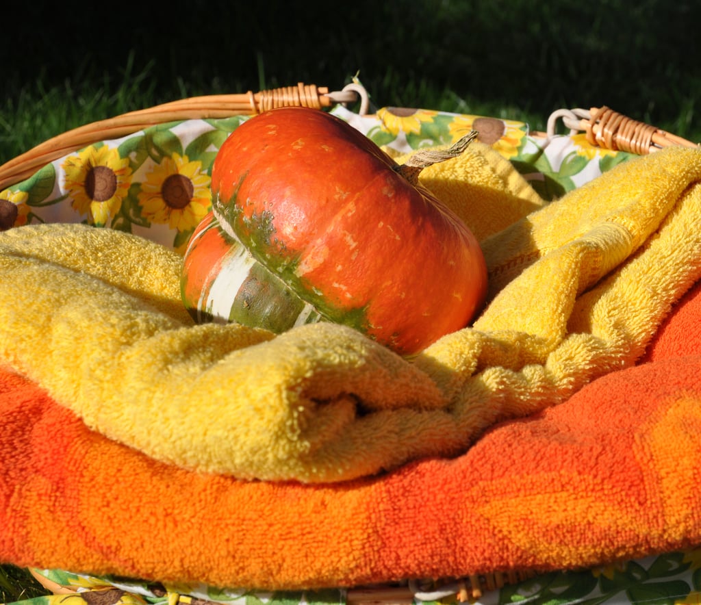 Pumpkin Body Scrub