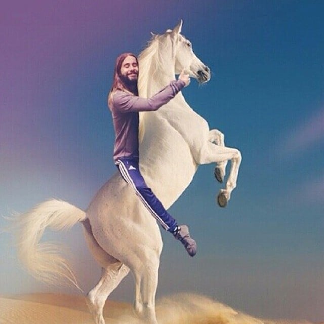 Jared Hugging a Horse