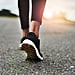 How Often Should I Walk to Lose Belly Fat?