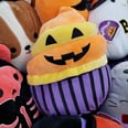 Hot Off the Presses! There's a New Halloween Cupcake Squishmallow — So Let the Hunt Begin