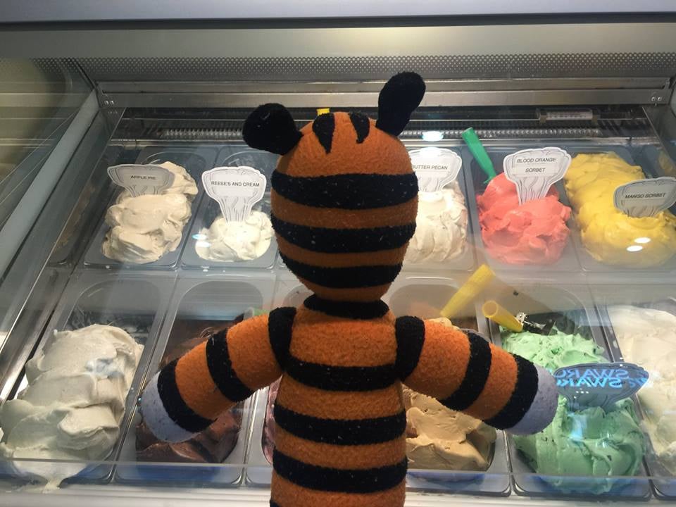 Boy Leaves His Tiger in an Airport and It Goes on Adventure