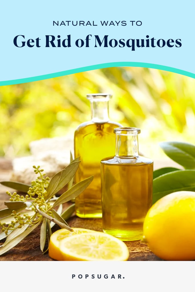 How to Get Rid of Mosquitoes POPSUGAR Home Photo 10