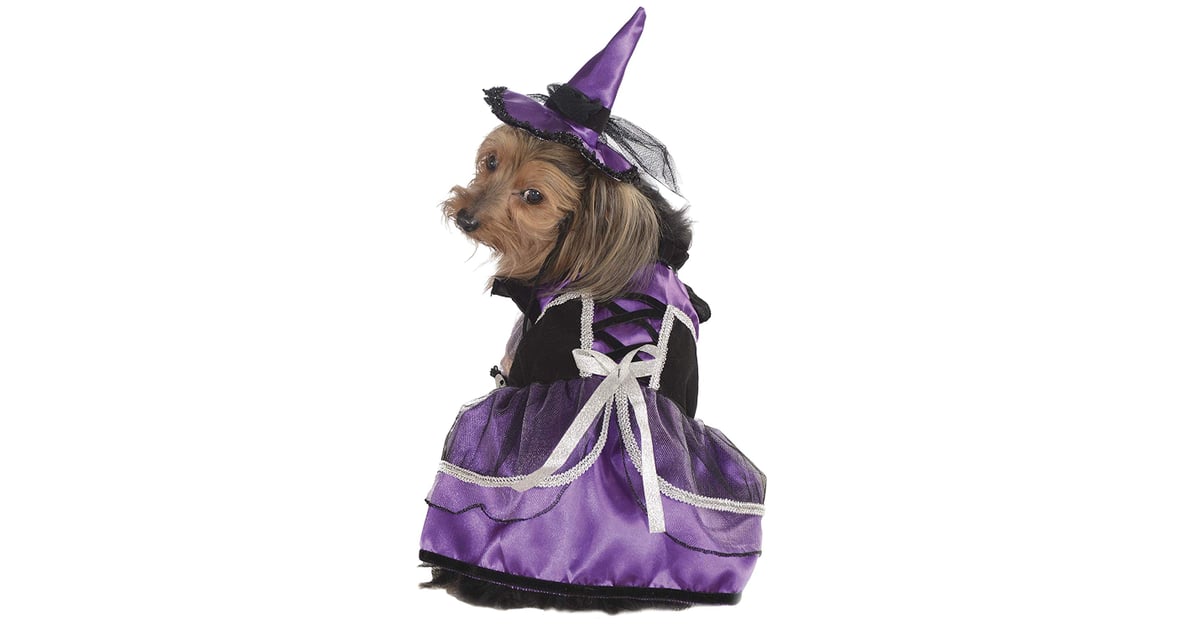 Purple Witch Pet Costume Best Costumes For Dogs POPSUGAR Pets Photo 63