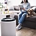 The 13 Best Amazon Air Purifiers — Starting at $40