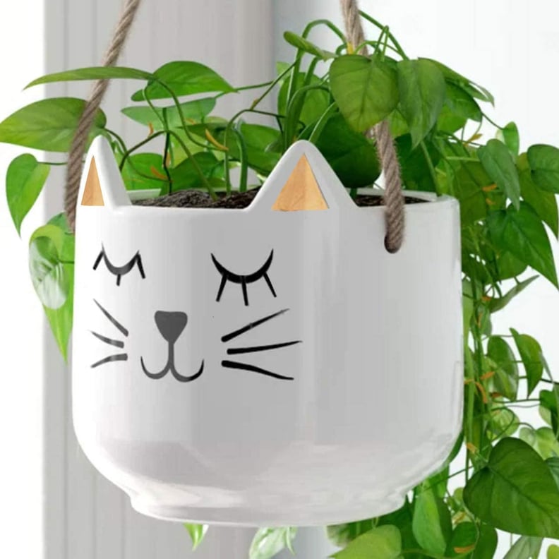 Something Playful: White Cat with Gold Ears Hanging Planter