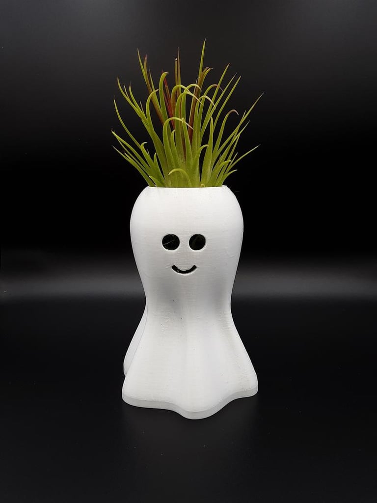 Ghost Planter With Air Plant