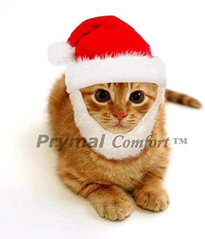 Comfort Santa Dog or Cat Costume