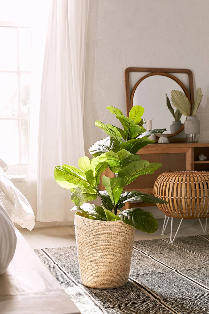 Fiddle Leaf Potted Faux Plant Best Fake Plants That Look Real