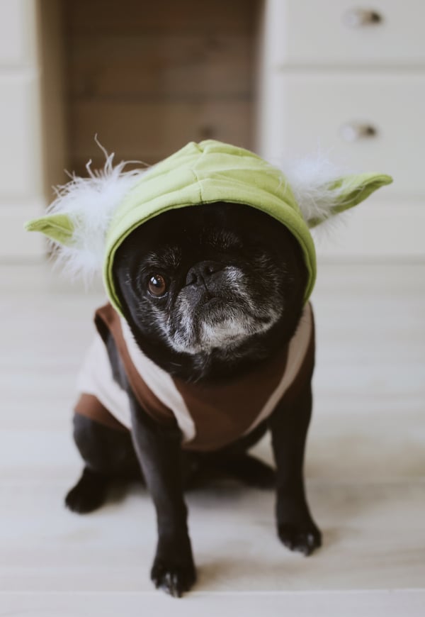 Star Wars Kid Party Ideas