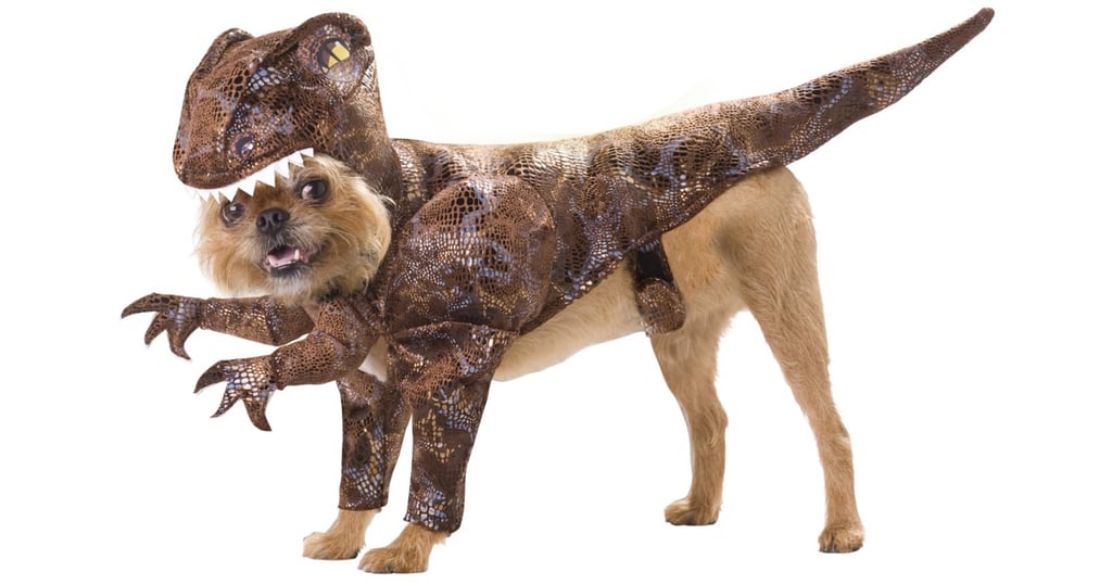 Animal Planet Raptor costume from BuyCostumes