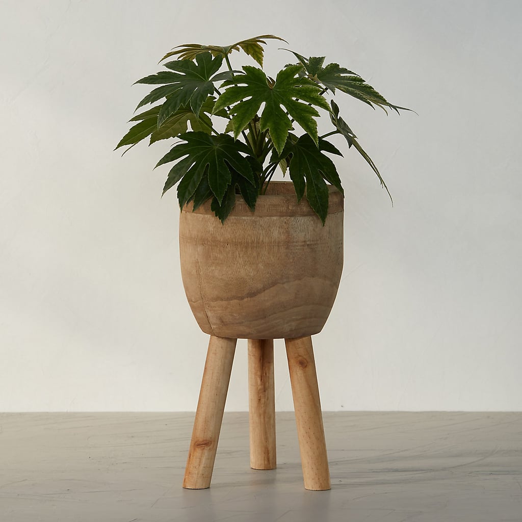Palm Wood Plant Stand