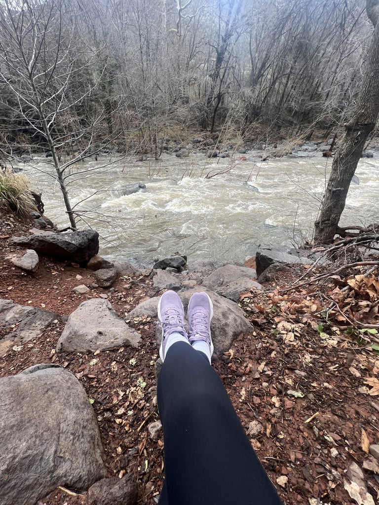 Hiking Shoes