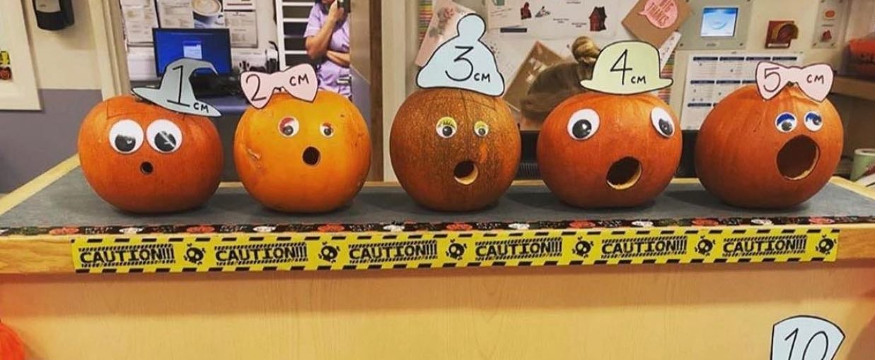 Cervix Dilation Pumpkin Display Popsugar Family