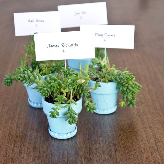 Bottle-Cap Planters