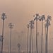 Safety Tips For Poor Air Quality