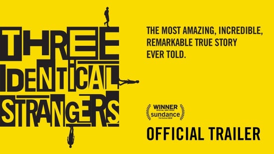 Three Identical Strangers True Story