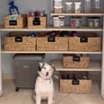 23 Pantry-Organization Videos From TikTok That'll Suck You Down a Rabbit Hole of Containers and Labels