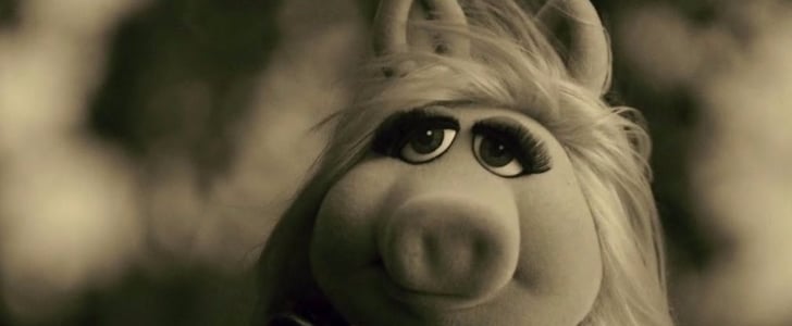The Muppets Spoof of Adele's Hello